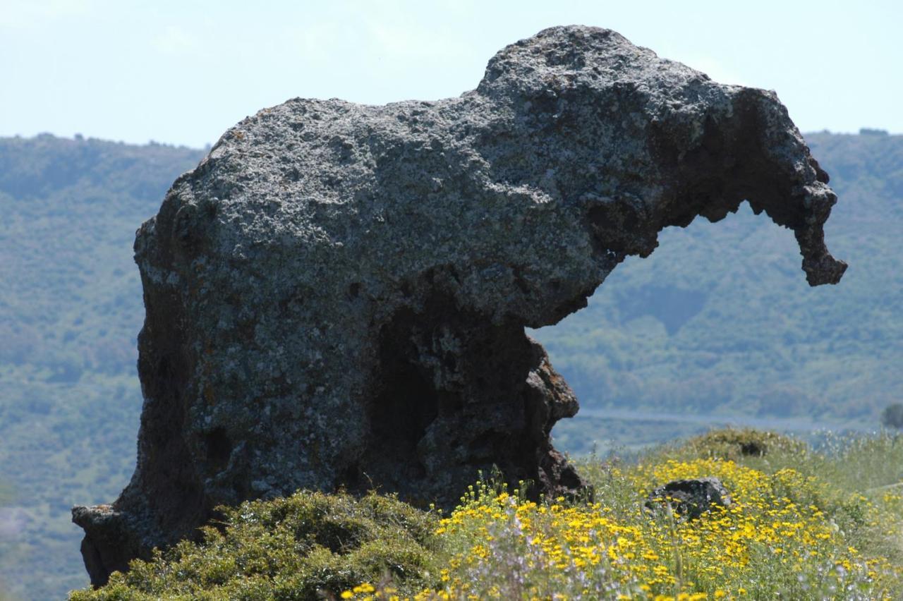 Affittacamere Likele Castelsardo Luaran gambar